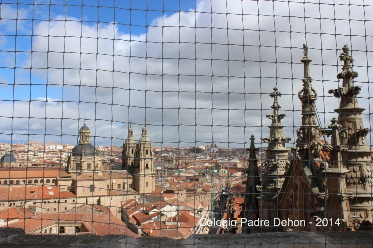 2014 03 22 SALAMANCA IERONIMUS CATEDRAL TORRE DEL RELOJ (134)